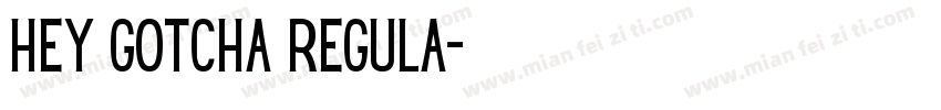 Hey Gotcha Regula字体转换